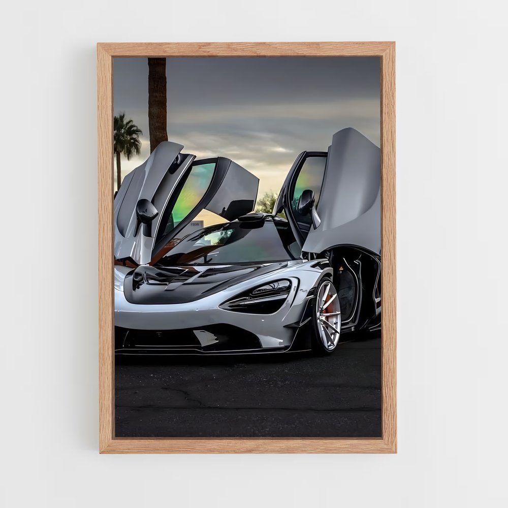 Poster McLaren Fever (vue 4)